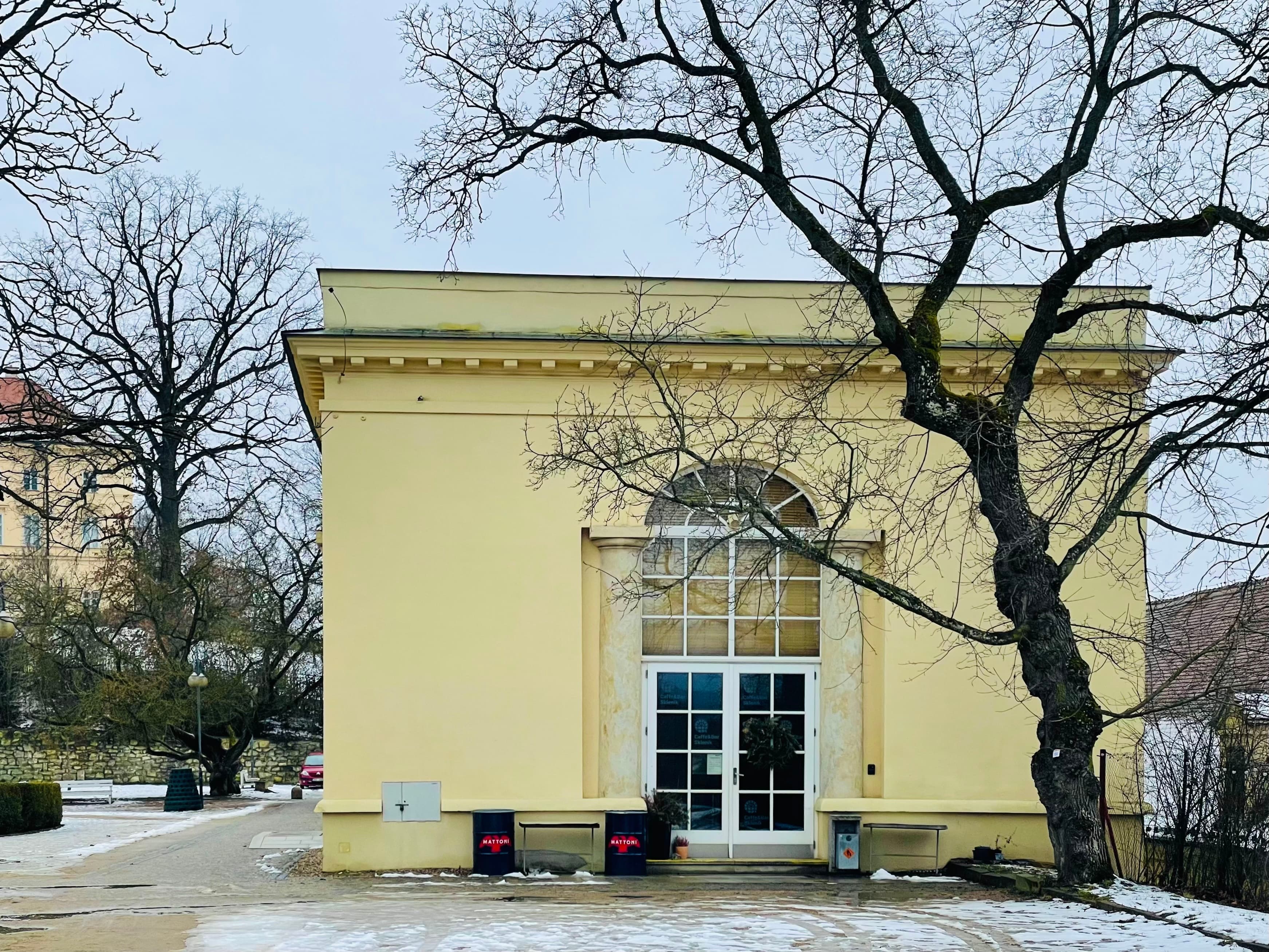 Strom vedle zámeckého skleníku